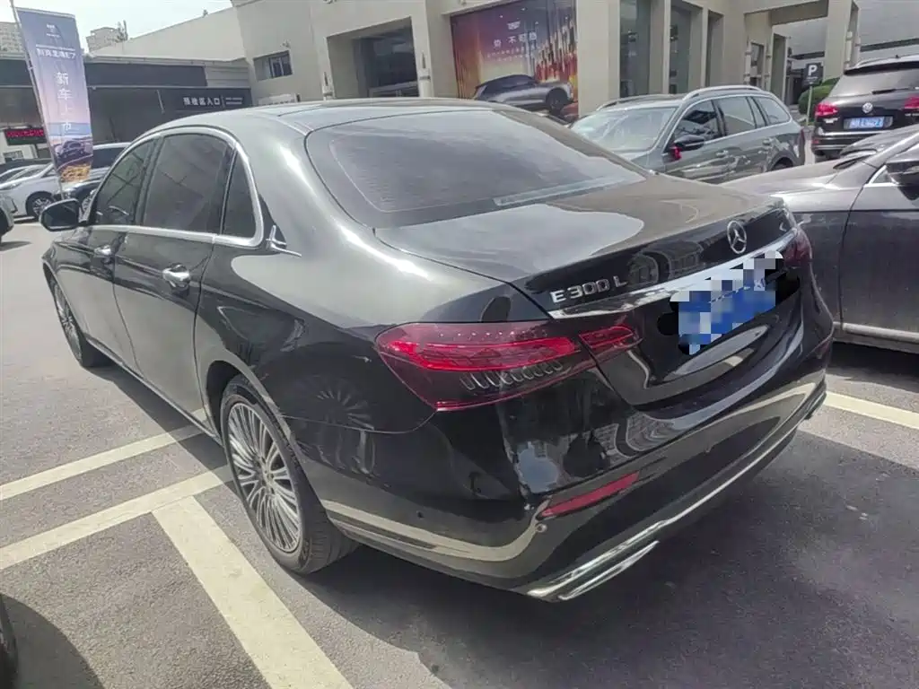 Mercedes-Benz E-Class 2023 E 300 L Luxury фото 9