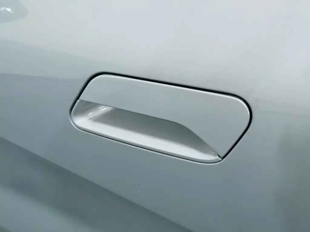Geely Geometry E Firefly 2023 2024 Model 301km Starlight