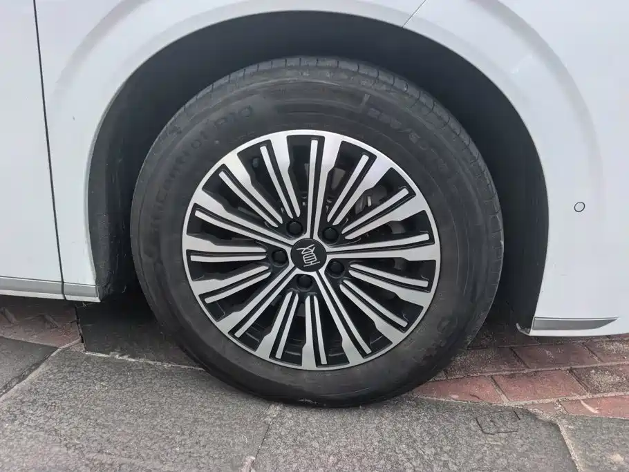BYD Xia 2025 2025 DM-i 1.5T 100km Surpass Edition