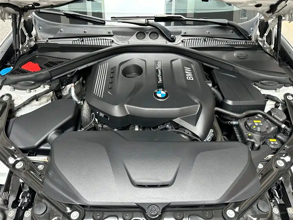 BMW 2 Series (Import) 2019 225i Convertible Coupe Sport Design Package фото 7