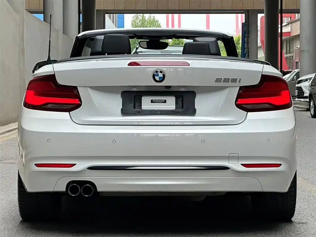 BMW 2 Series (Import) 2019 225i Convertible Coupe Sport Design Package фото 4