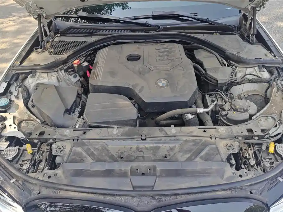 BMW 3 Series 2022 325Li M Sport Shadow Edition фото 10