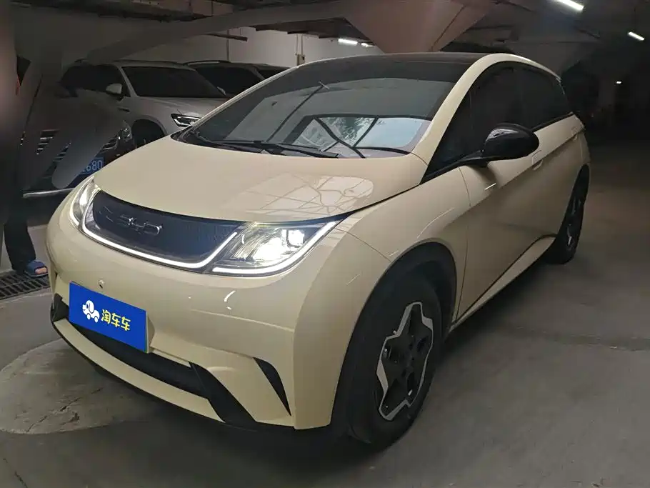 BYD Dolphin 2021 Model 405km Fashion Edition