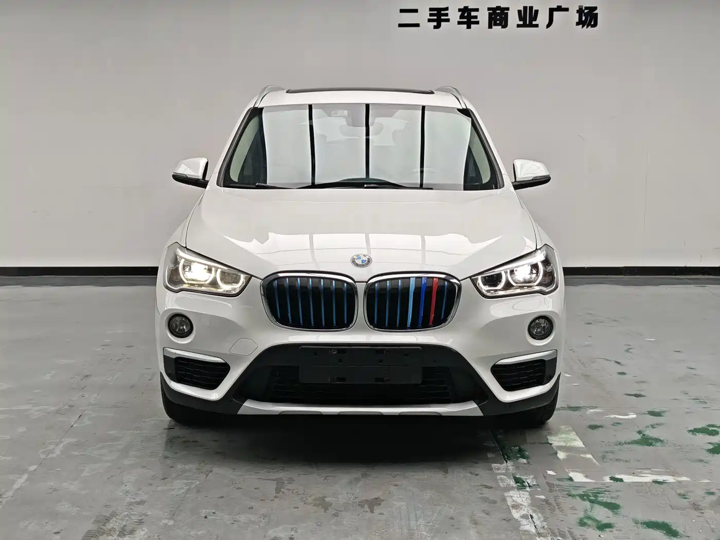 BMW X1 New Energy 2018 2019 xDrive25Le Luxury