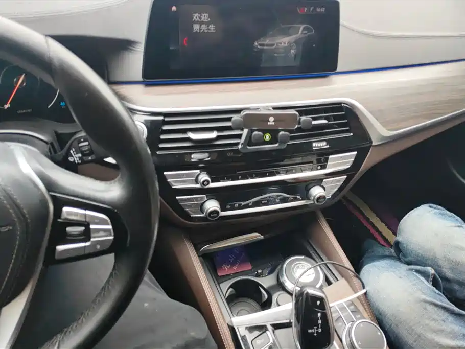 BMW 5 Series New Energy 2019 530Le Luxury Package фото 13