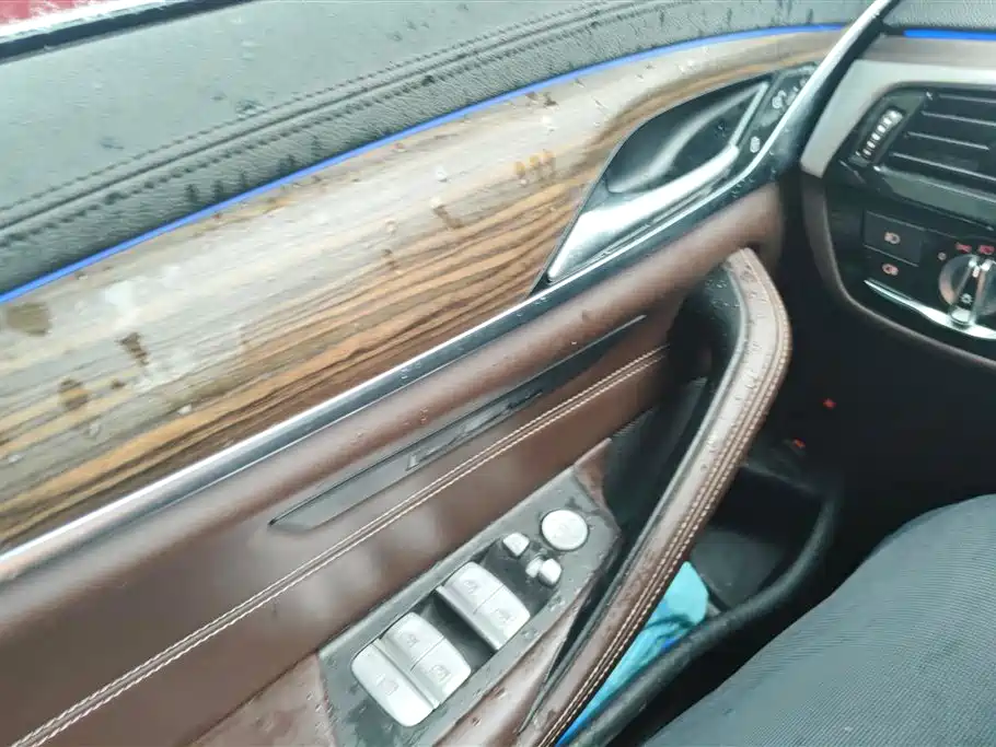 BMW 5 Series New Energy 2019 530Le Luxury Package фото 7