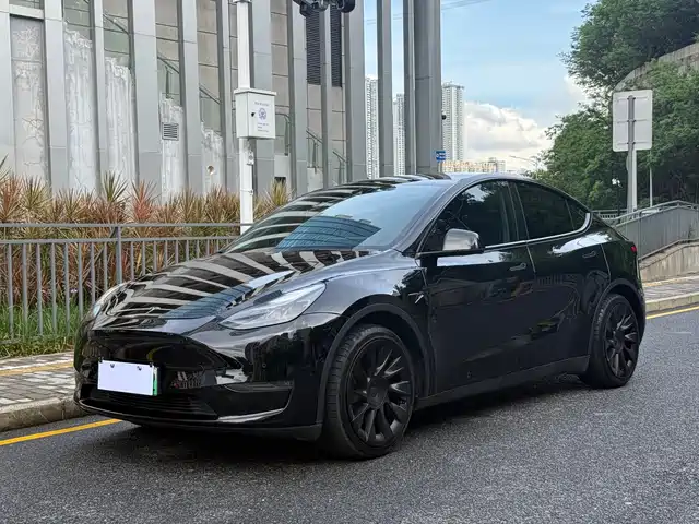 Tesla Model Y 2021 Standard Range Rear-Wheel Drive
