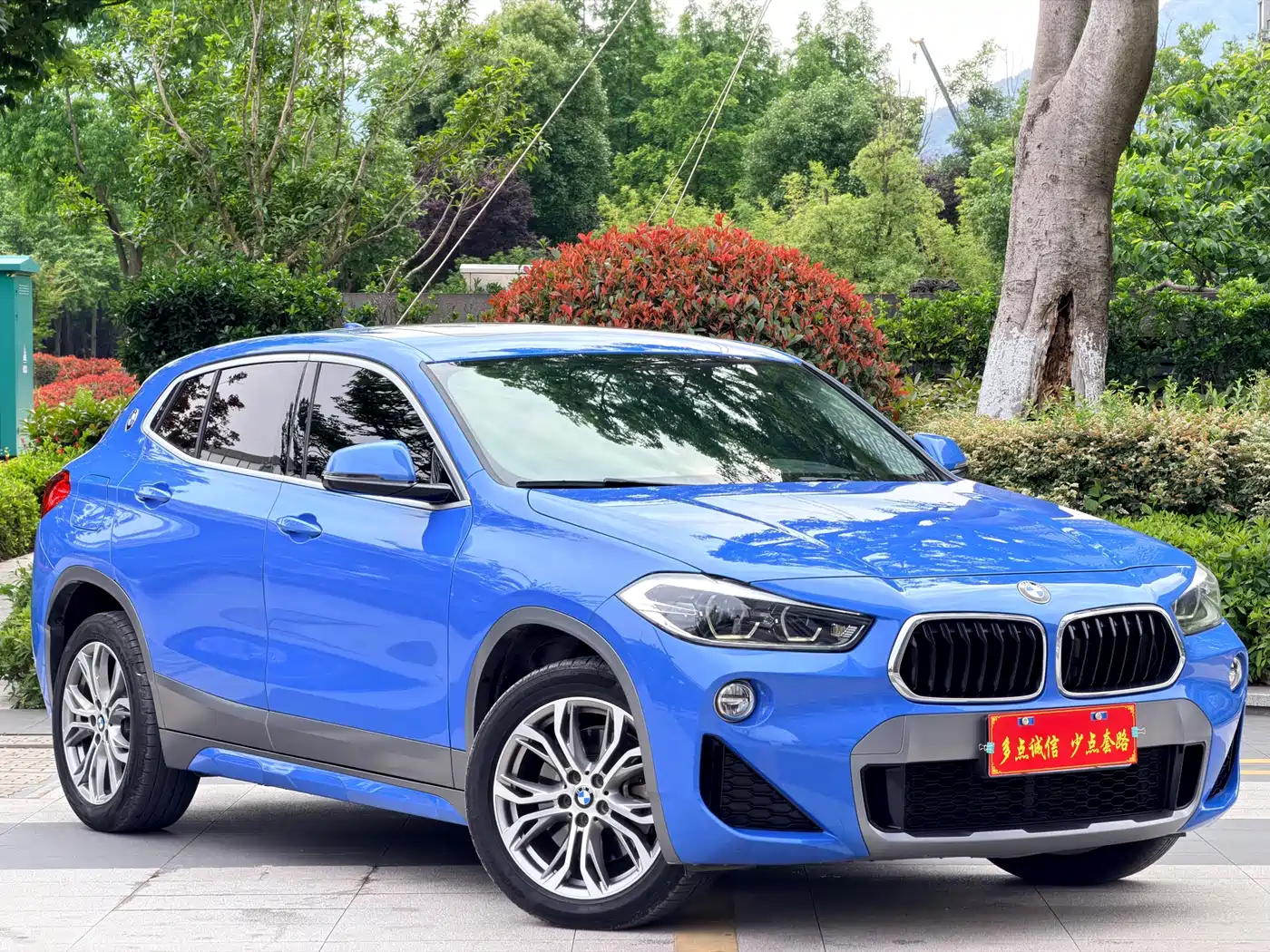 BMW X2 (Import) 2019 sDrive25i Luxury M Off-Road Package China VI фото 3