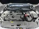 صورة 17 - Nissan Sylphy