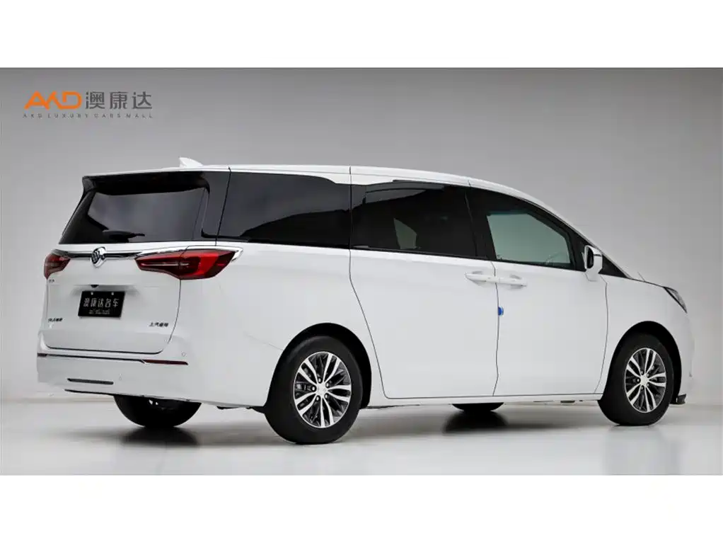 Buick GL8 2020 Model ES Landglory 653T Comfort фото 3