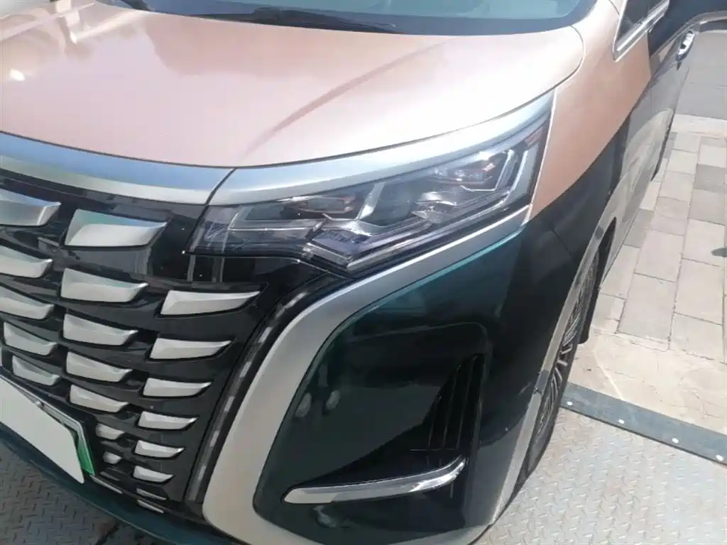 Denza D9 2022 DM-i 970 AWD Flagship фото 24
