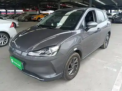Neta V