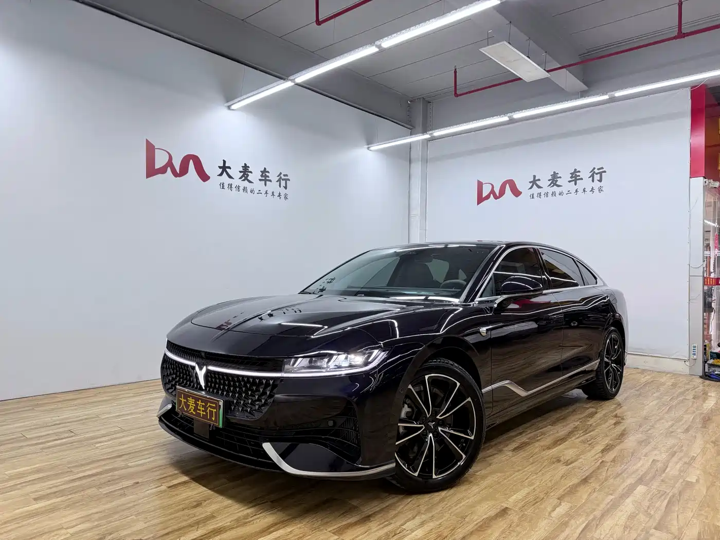 Voyah Auto VOYAH Zhuiguang 2024 PHEV AWD Ultra Long Range Flagship