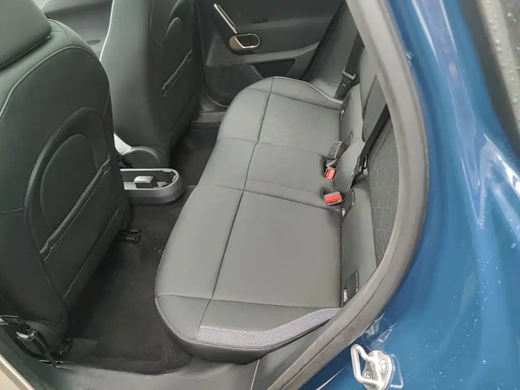 MINI Electric MINI ACEMAN 2024 2024 Model SE Artist