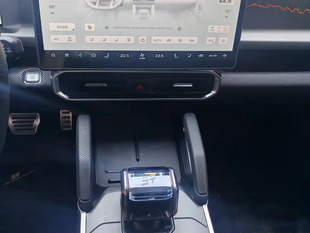 Jetour Shanhai T2 2024 2024 C-DM 208KM Wilderness Edition