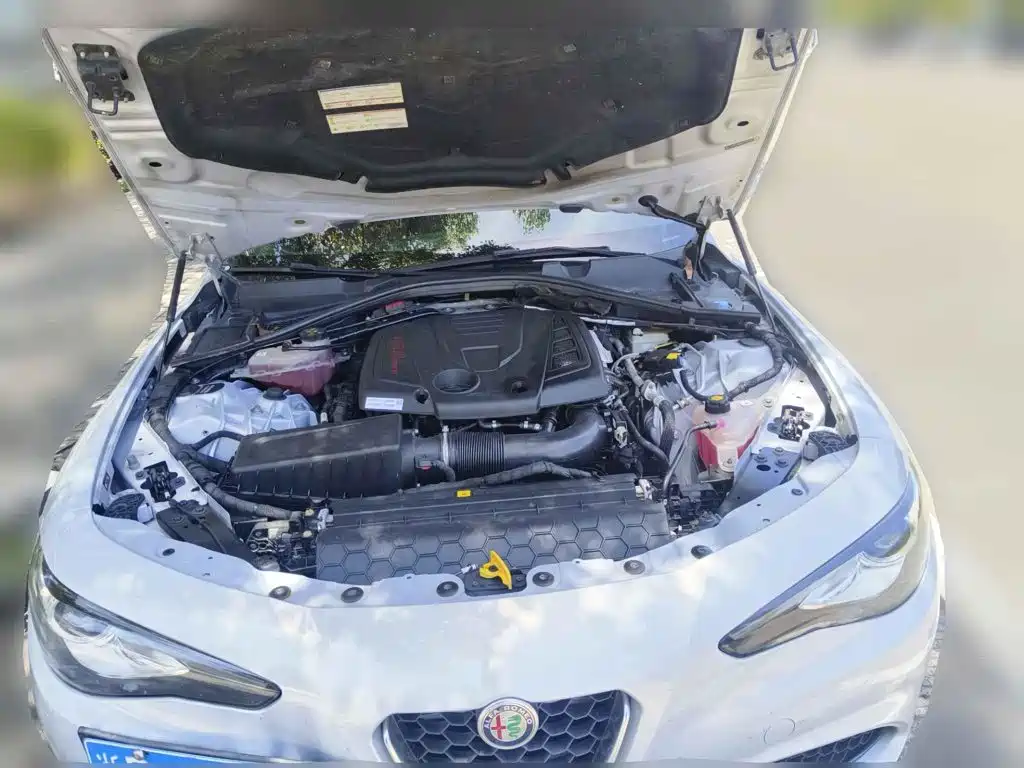 Alfa Romeo Giulia 2020 2020 2.0T 280HP Luxury Edition