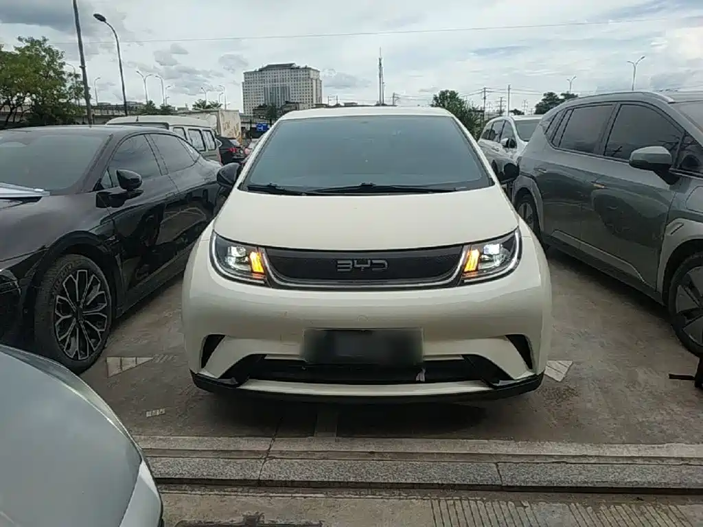 Photo 3 - BYD Dolphin