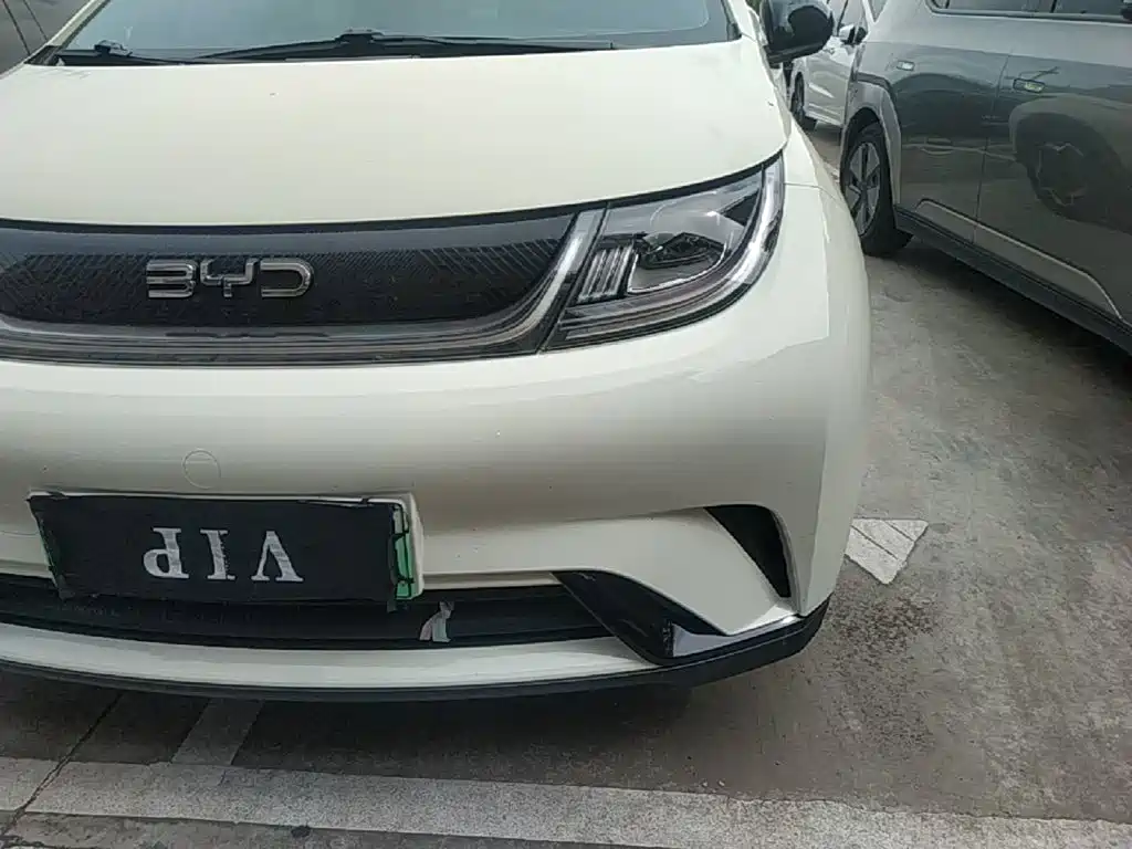 Photo 24 - BYD Dolphin