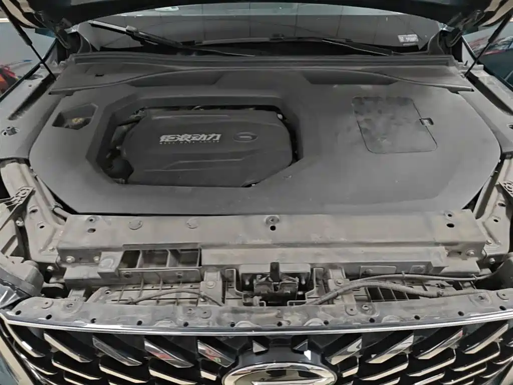 GAC Trumpchi Trumpchi GS8 2022 Pilot Series 2.0TGDI 2WD Premium Edition (6-Seater) фото 20