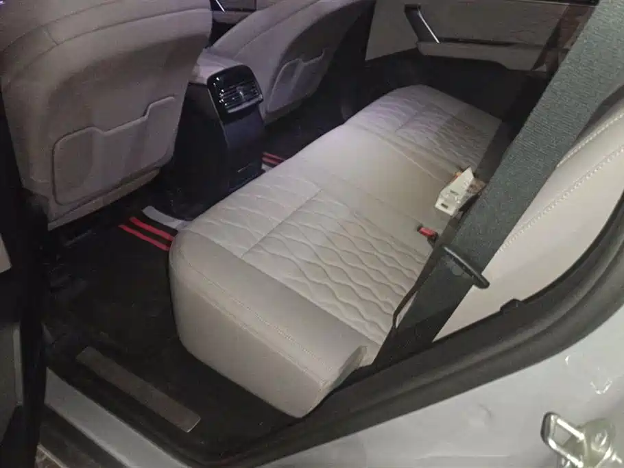 BYD Tang New Energy 2025 DM-i 115KM Flagship фото 11