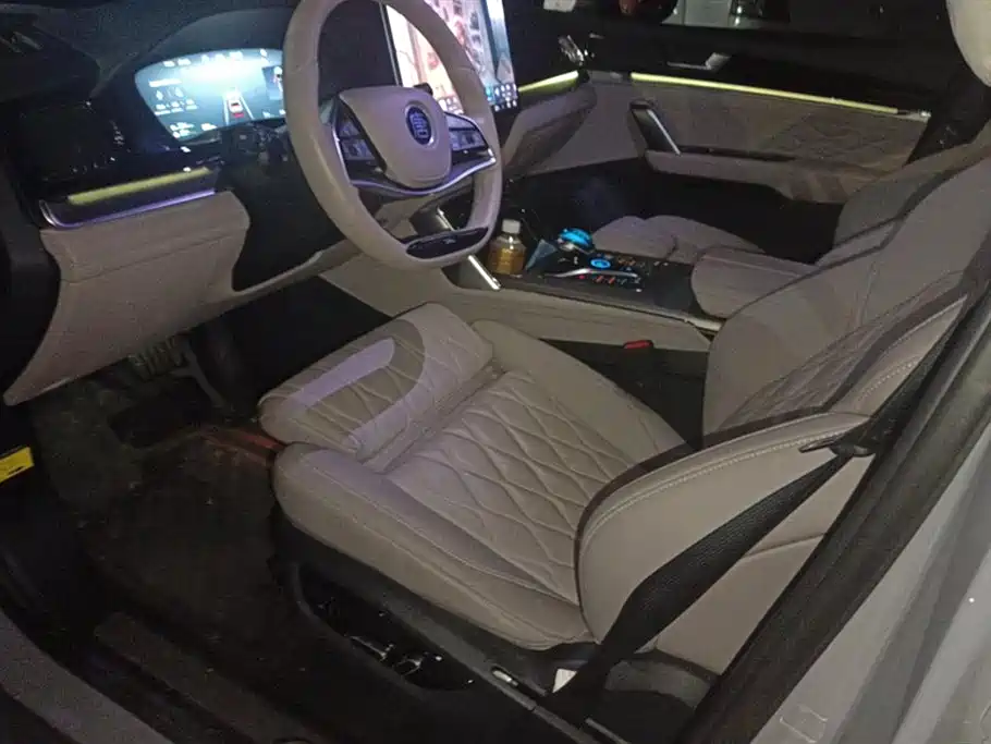 BYD Tang New Energy 2025 DM-i 115KM Flagship фото 9