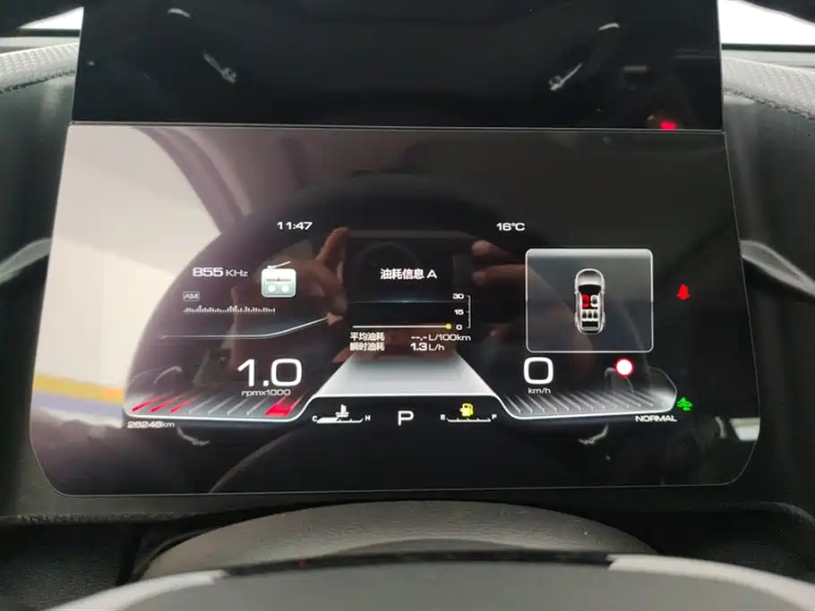 Haval Big Dog 2024 1.5T DCT Border Collie Edition фото 14