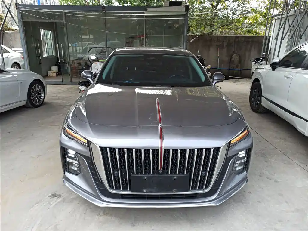 Hongqi H5 2023 2.0T Auto Smart Connect Flag Comfort фото 3
