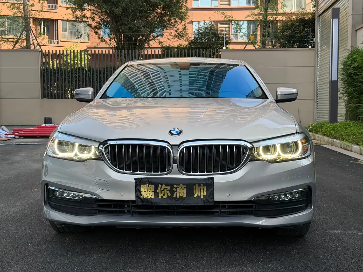 BMW 5 Series 2018 528Li Launch Special Edition фото 2