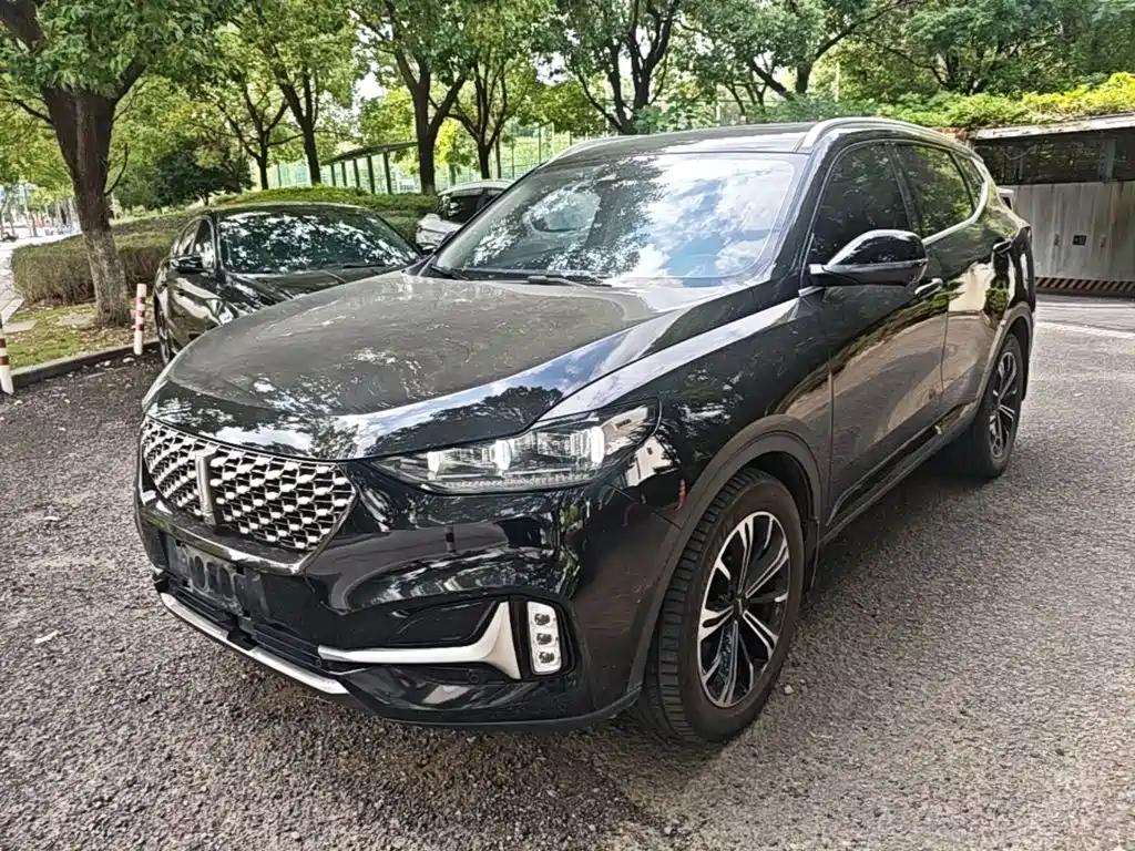WEY VV6 2021 2020 2.0T 2WD Smart Protection+