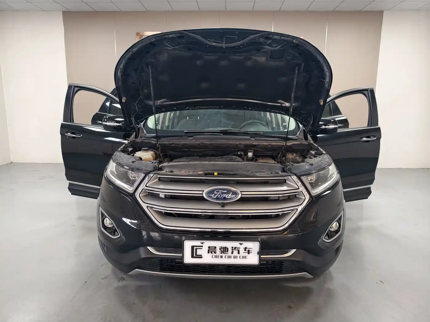 Ford Edge 2018 2018 EcoBoost 245 FWD Luxury 7-seater China V
