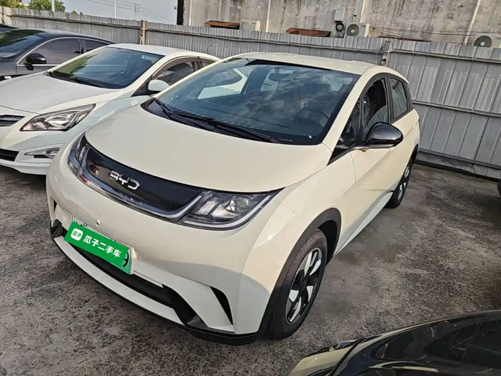 BYD Dolphin 2026 2025 420km Freedom Edition