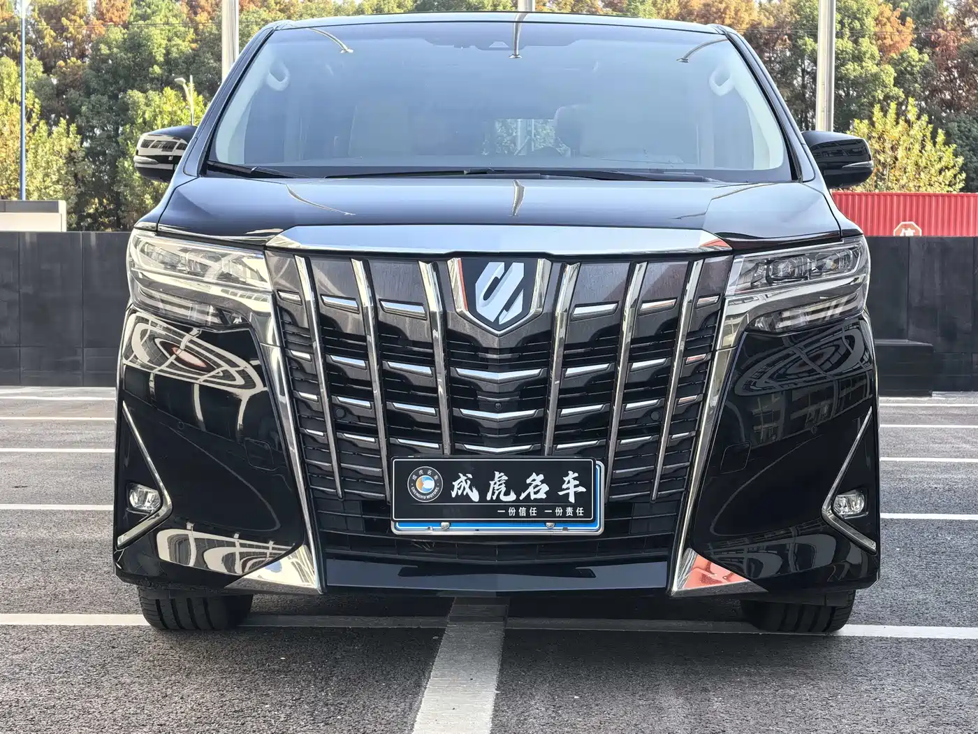 Toyota Alphard 2018 3.5L Premium фото 2