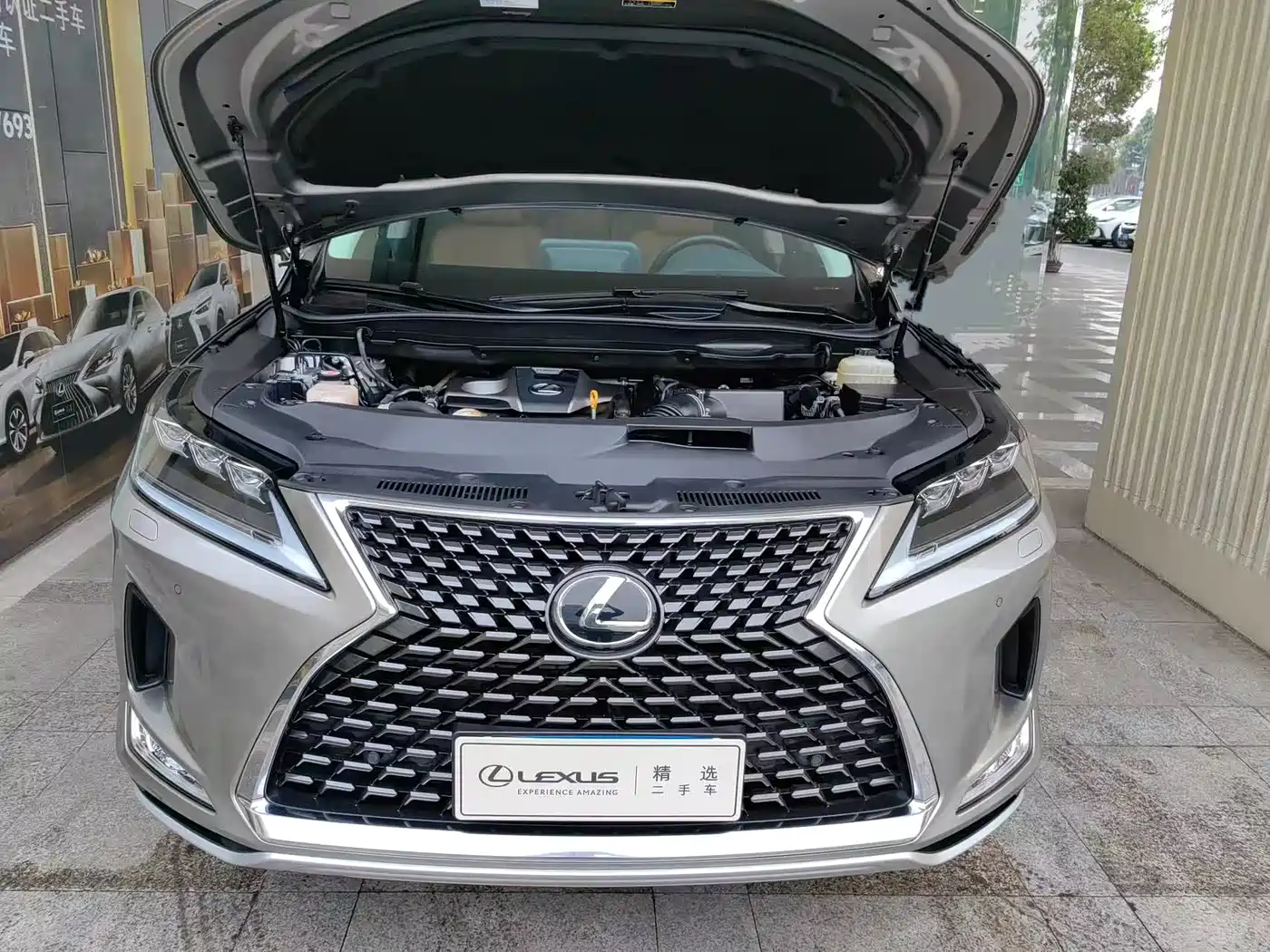 Lexus RX 2020 300 4WD Elegance Edition China VI фото 6