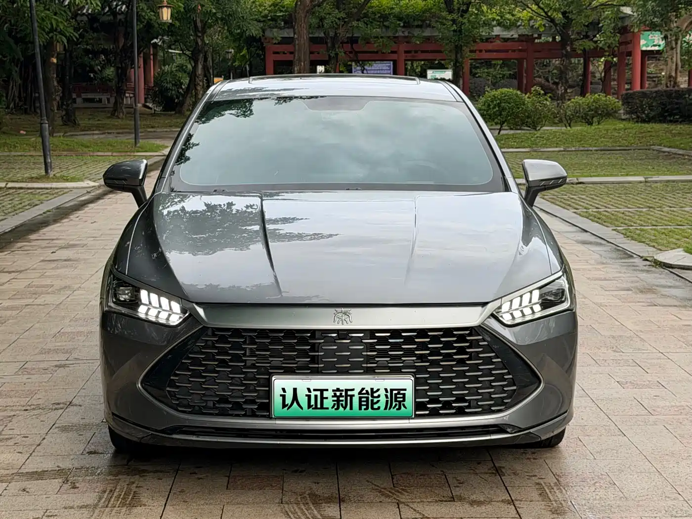 BYD Qin PLUS 2021 DM-i 55KM Flagship фото 2