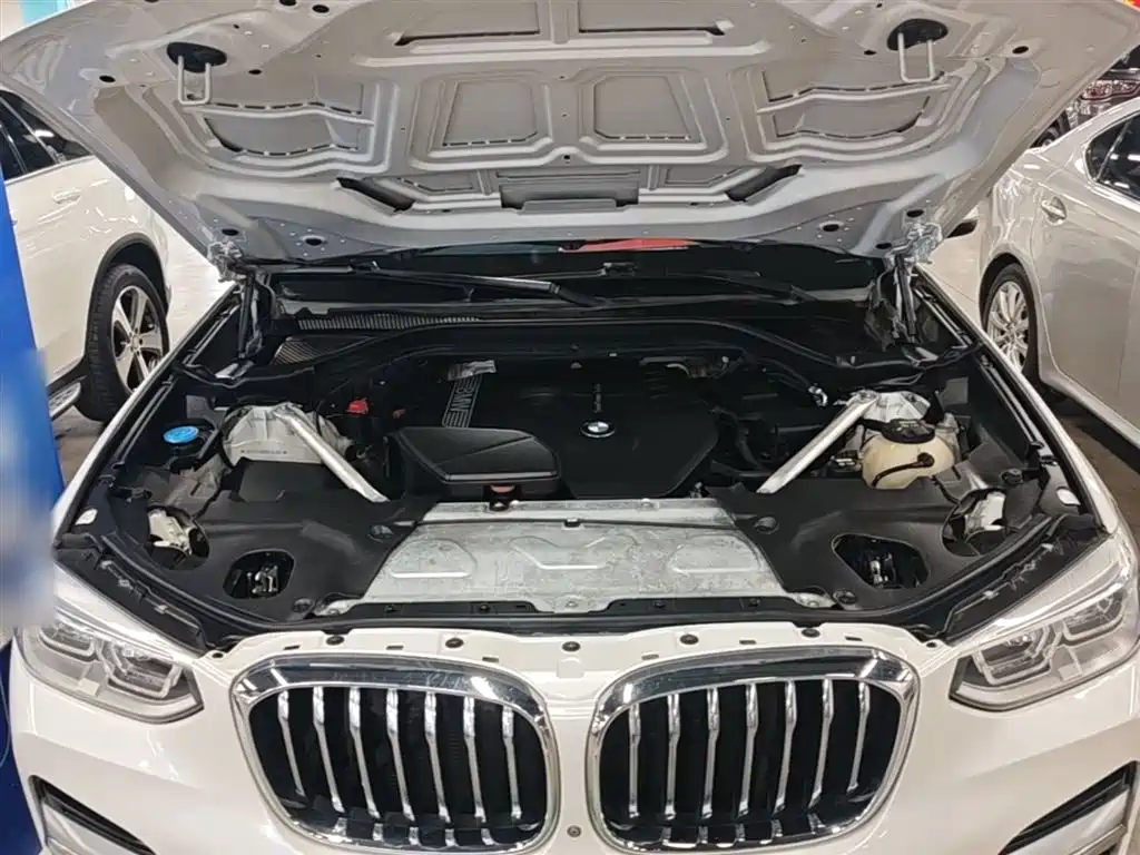 BMW X3 2019 xDrive28i Luxury Package фото 20