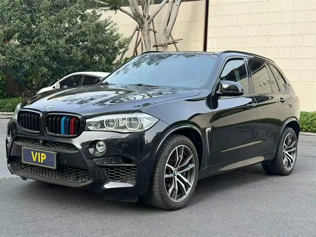 BMW X5 M 2015 X5 M фото 2