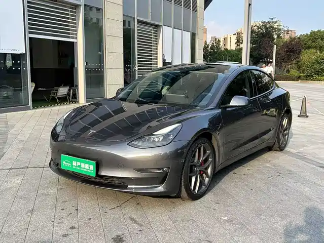 Tesla Model 3 2021