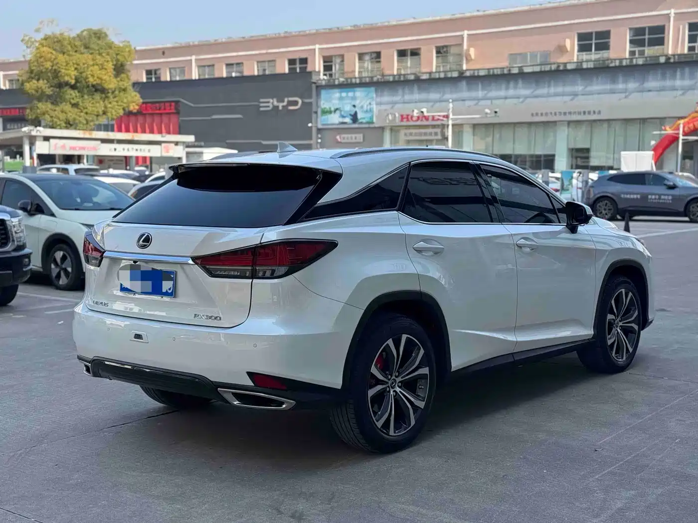 Lexus RX 2021 300 AWD Special Edition фото 8