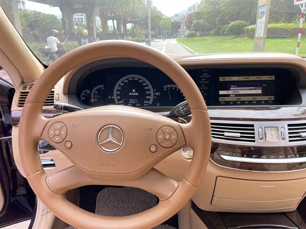 Mercedes-Benz S-Class 2010 S 300 L Luxury фото 8