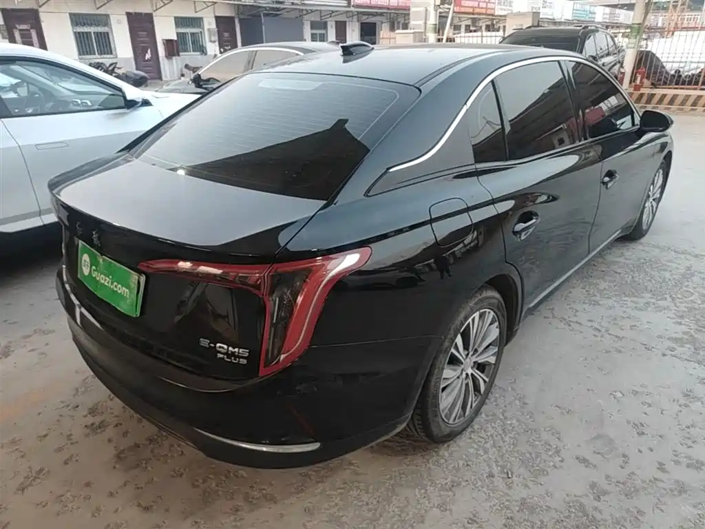 Hongqi E-QM5 2024 560km PLUS фото 7