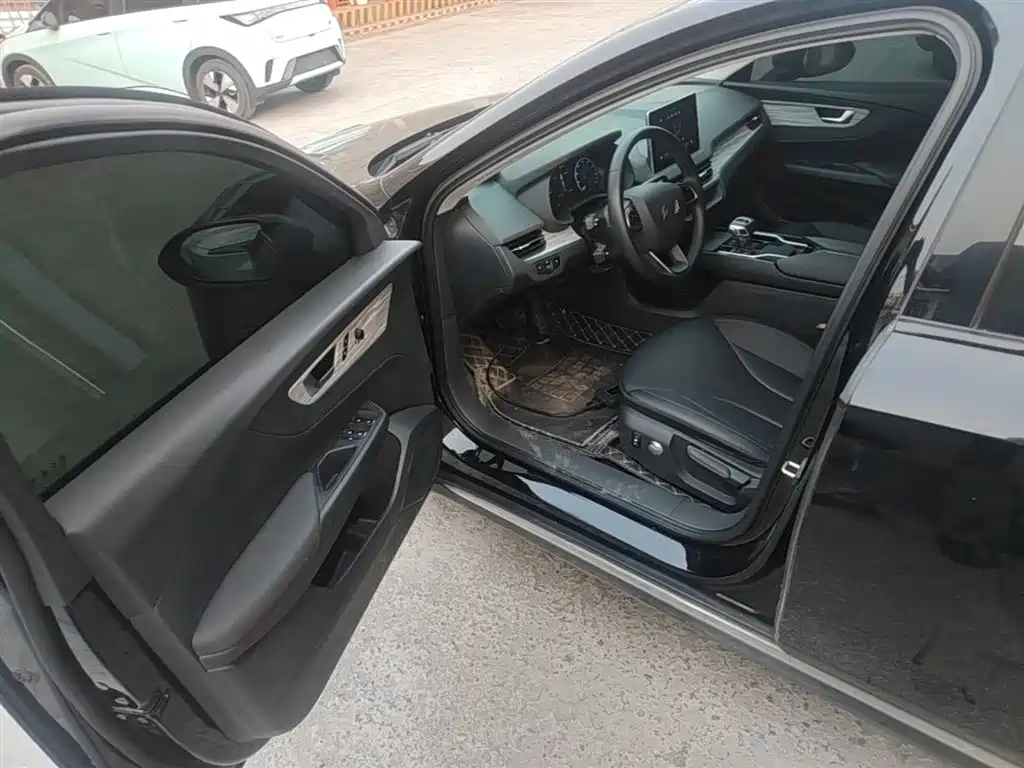 Hongqi E-QM5 2024 560km PLUS фото 16