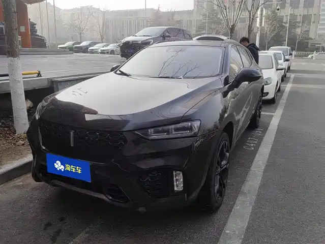 WEI PAI WEI BRAND VV7