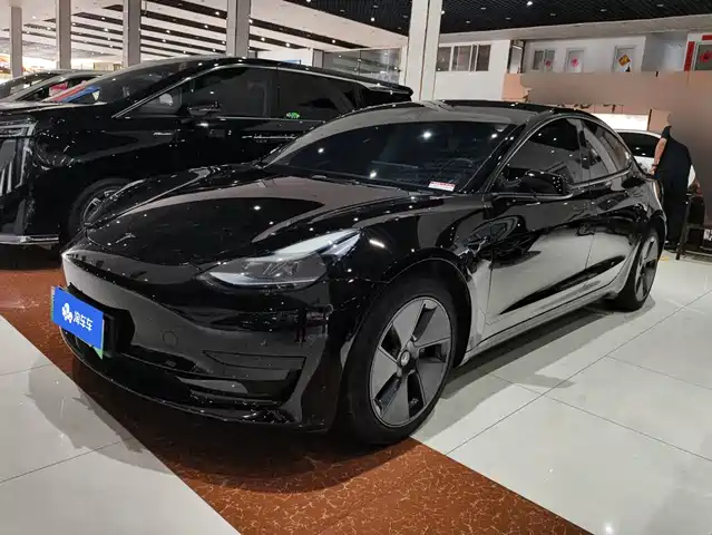 Tesla Model 3 Задний привод