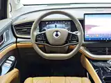 Фото 19 - Denza D9
