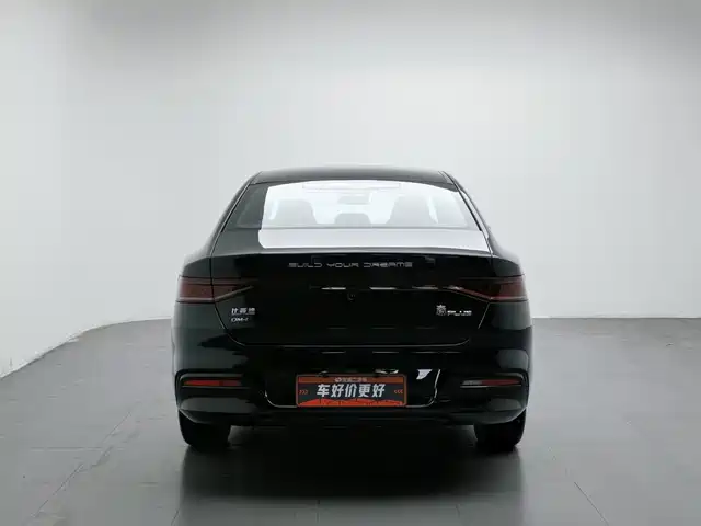 BYD Qin PLUS 2023 Champion Edition DM-i 120KM Surpassing Type — фото 4
