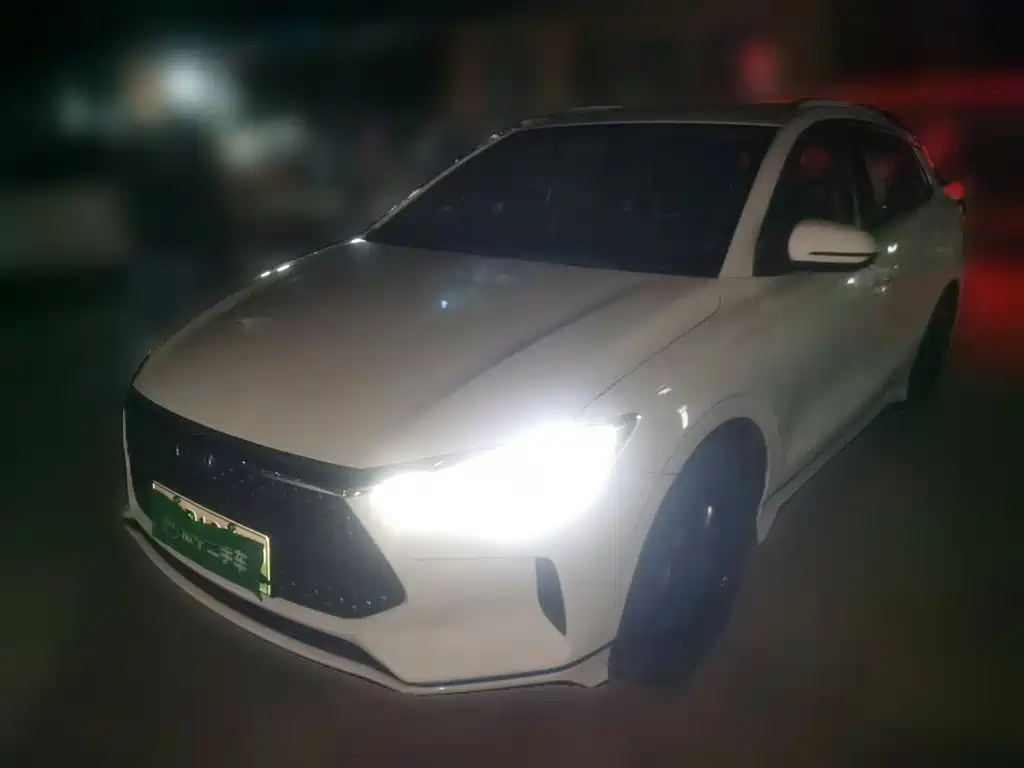 BYD e2 2020 2020 Upgraded Long Range Luxury