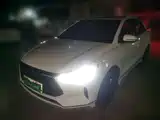 Фото 1 - BYD e2