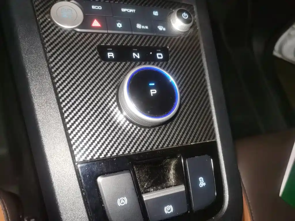 BYD e2 2020 2020 Upgraded Long Range Luxury