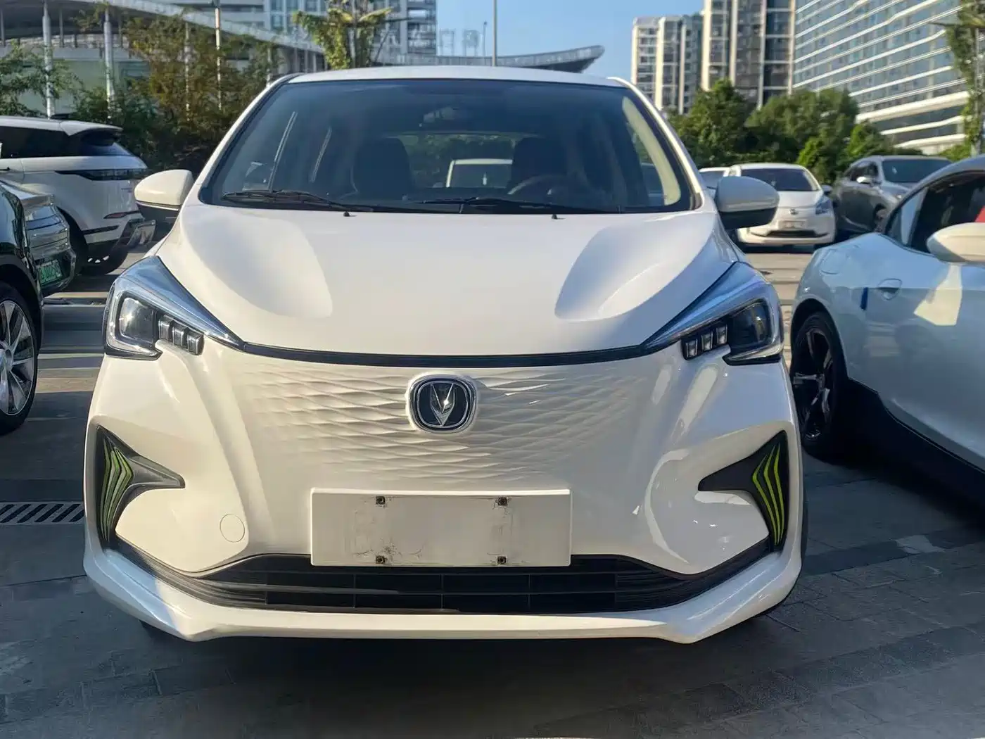 Changan Benben E-Star 2021 2020 Heartjoy Edition NCM