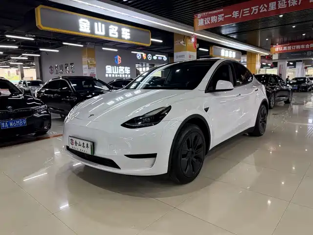 Tesla Model Y 2024 Rear-Wheel Drive Version — фото 1